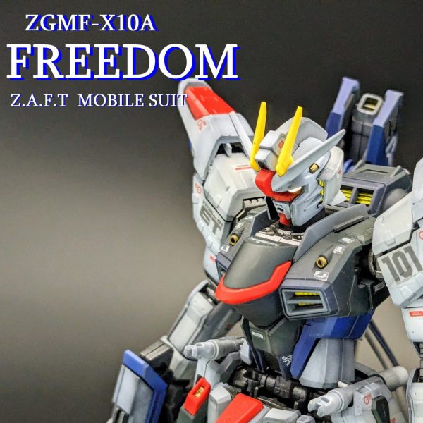 1/144 RG フリーダム