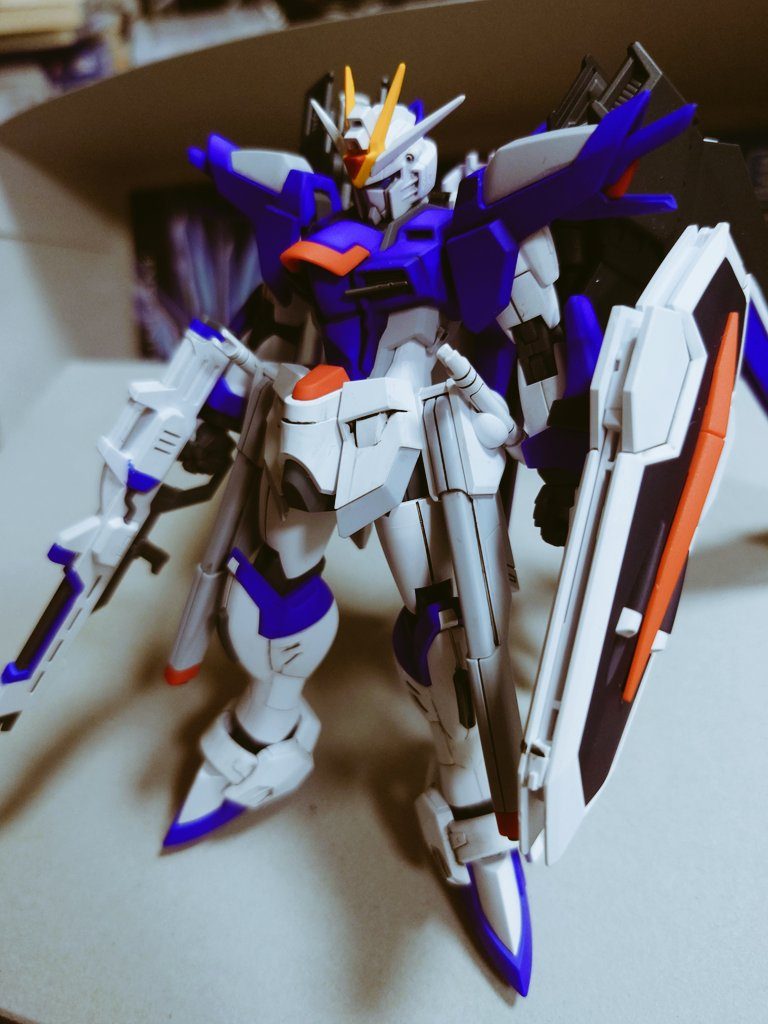 HG ライジングフリーダムガンダム–3枚目/制作者：@TOMOZO0525