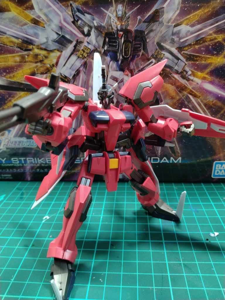 オマケ  顔だけボコボコにされたイージス