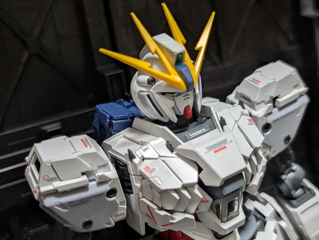 素体状態も良い