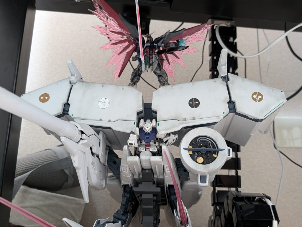 子どもがデンドロビウムのうえに飾ってました