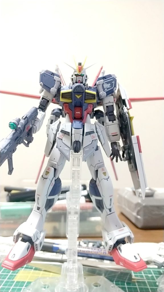 ウエザリングしない機体久しぶりです