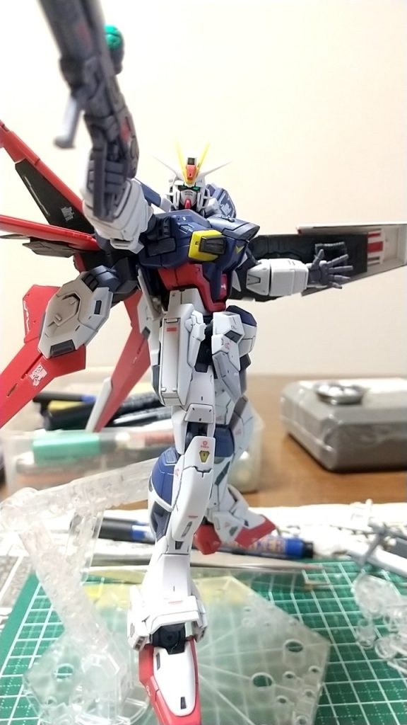 SEEDと言えばこのポーズかと 