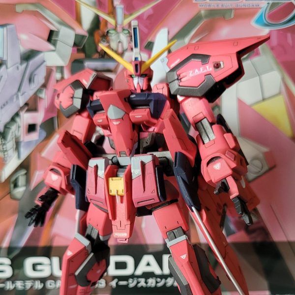 HG  GAT-X303  AEGIS GUNDAM