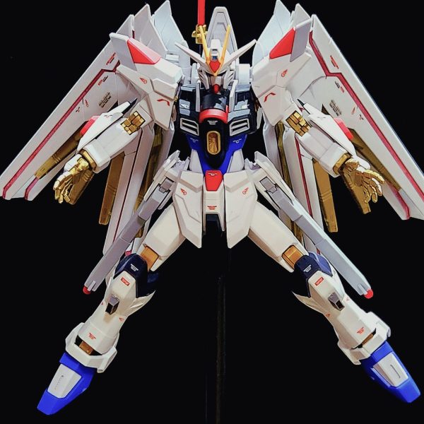 HG 1/144 フリーダムガンダムvsフォースインパルスガンダム(運命