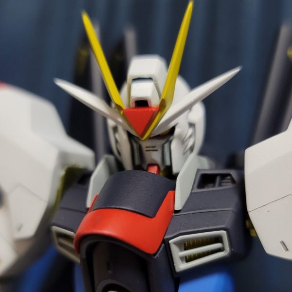 100/1ストライクフリーダム