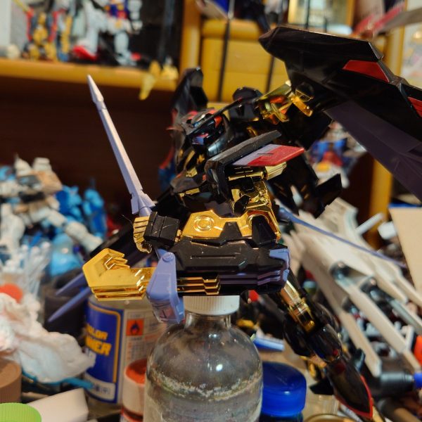 アストレイゴールドフレーム天ミナ