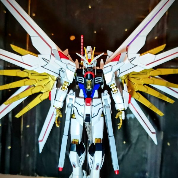 HG マイティーストライクフリーダムガンダム