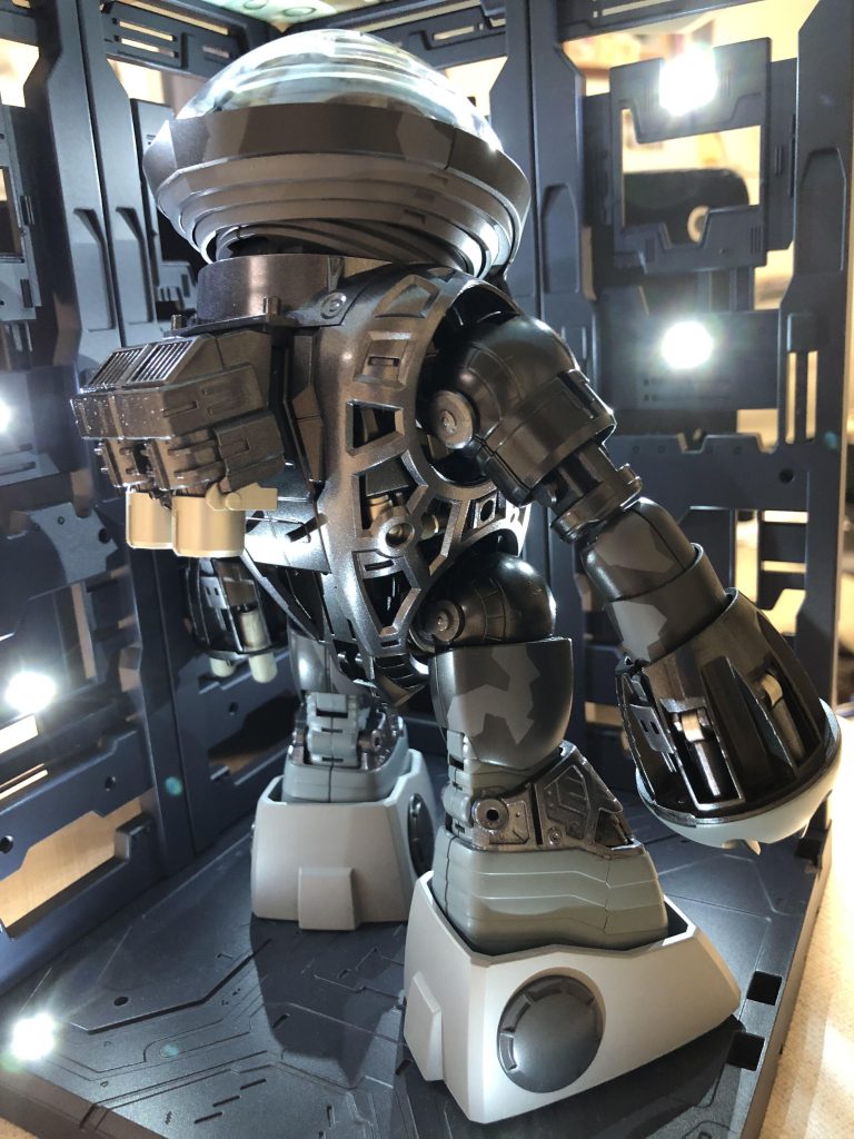 内部フレーム　バック！