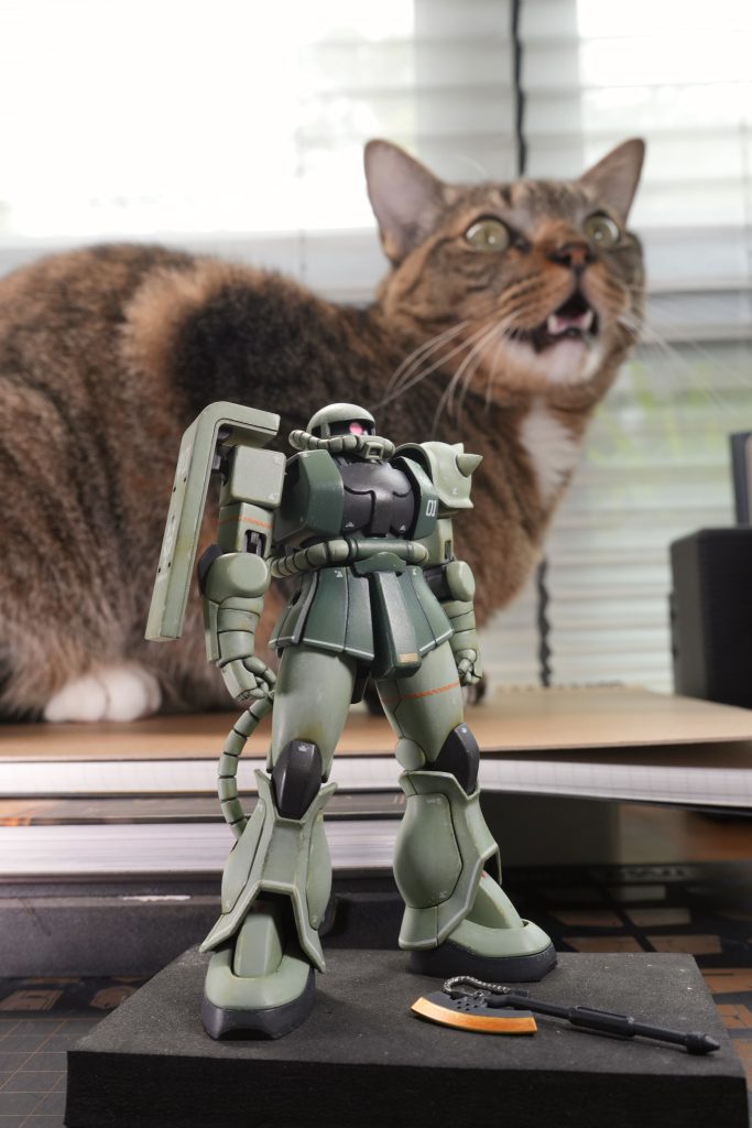 Thanks for watching! For the tabby cat at the back please follow @GingerBtheCat in instagram ;)