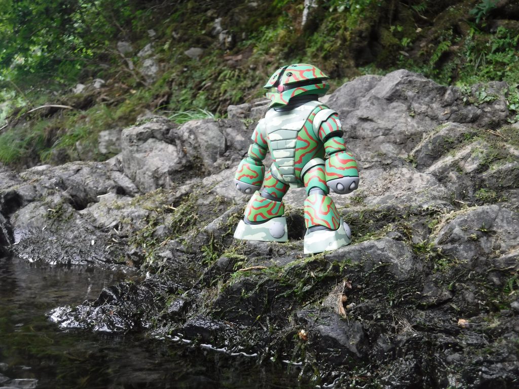 虫や動物も住みつき今では人間達も生活しています。