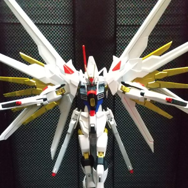 マイティーストライクフリーダムでポージング練習&組み換え