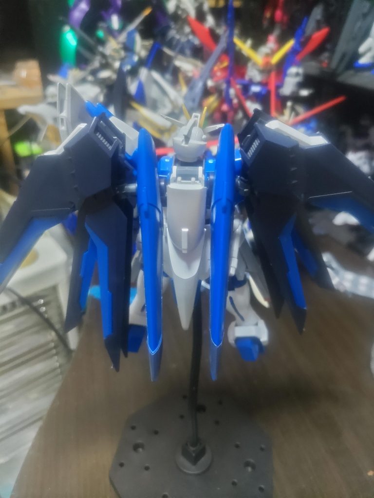 背後からの写真