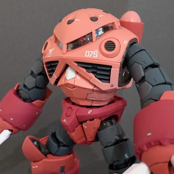 RGシャア専用ズゴック