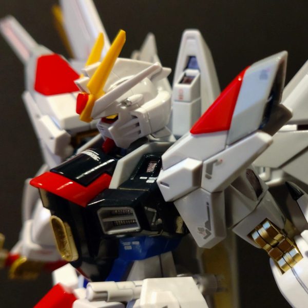 RG風　マイティーストライクフリーダム