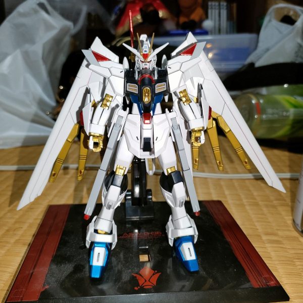 ZGMF/A-262PD-P COMPASS  MOBILE SUIT MIGHTY STRIK FREEDOM GUNDAM
