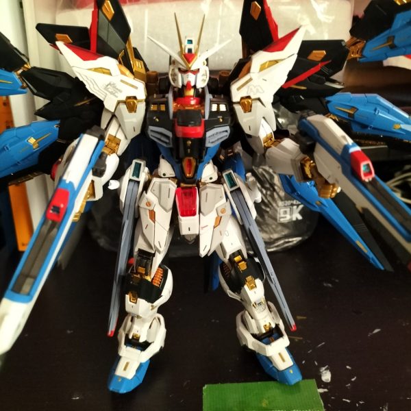 MGEXストライクフリーダム