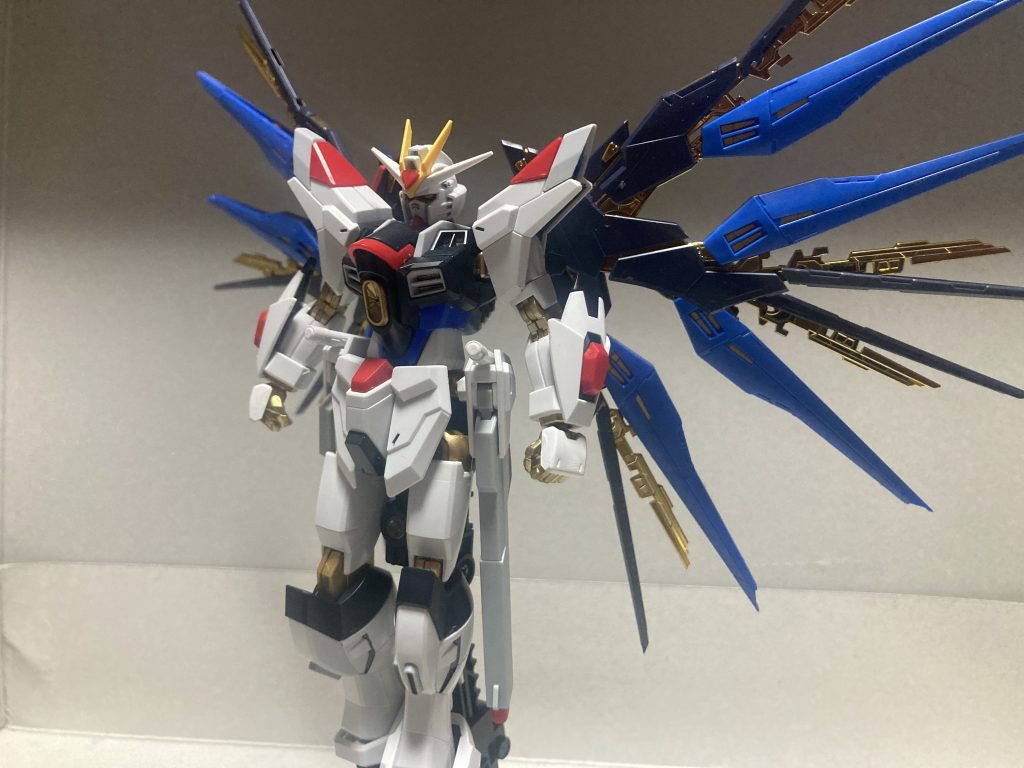 RGのバックパックならここまで翼が開くので見栄えがいいです。