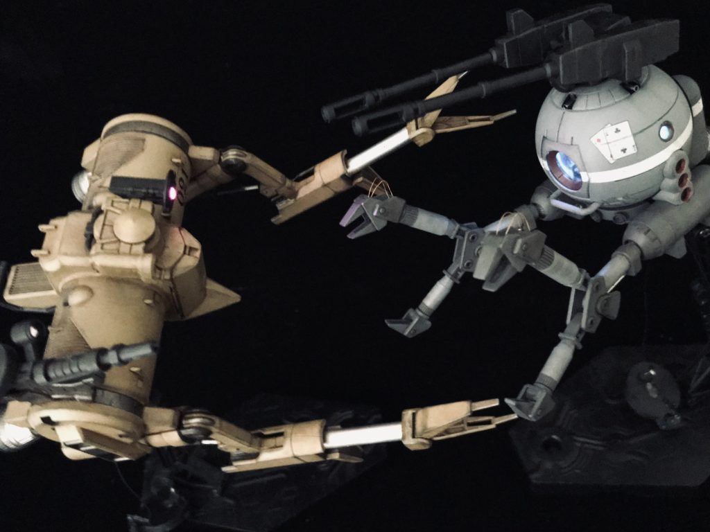 『アジアのスイカ〜っ❗️