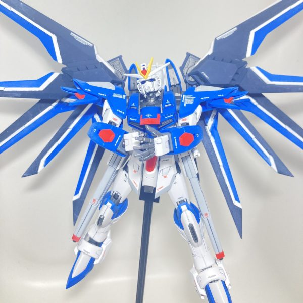 HGCE ライジングフリーダム　成型色仕上げ