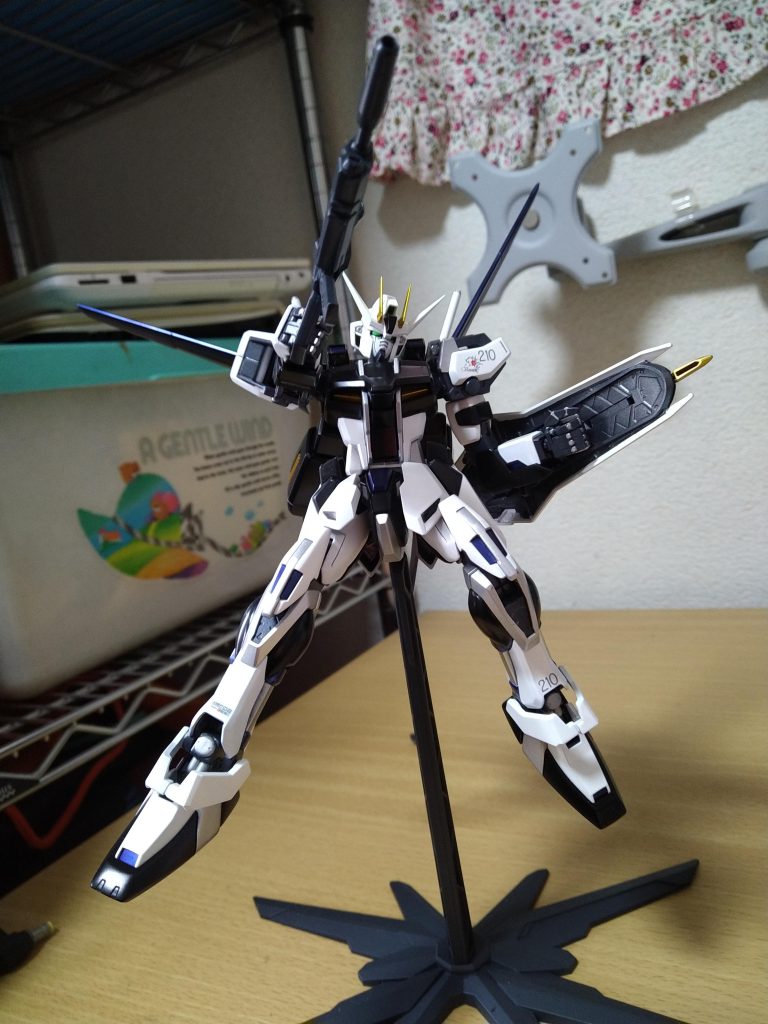 SEEDっぽいポーズ!