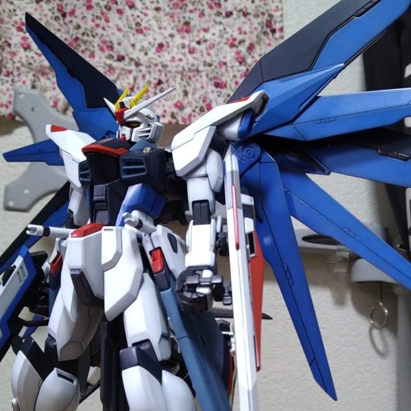 フリーダム　（旧版MG）