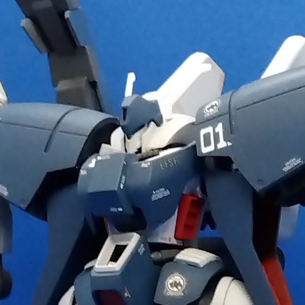 バイアランカスタム