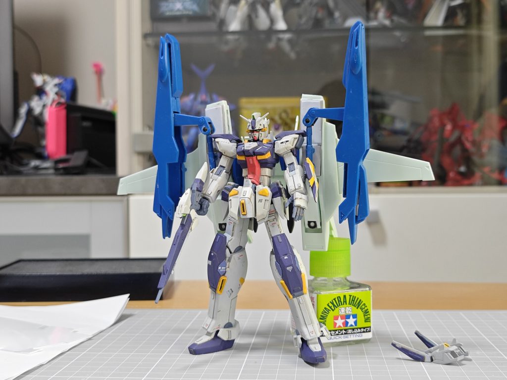 試着状態。これでも良かったんだけどね。