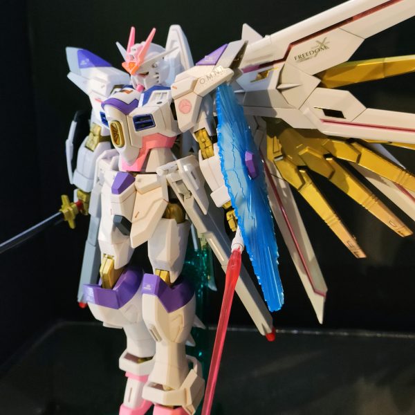 ラクスのフリーダム