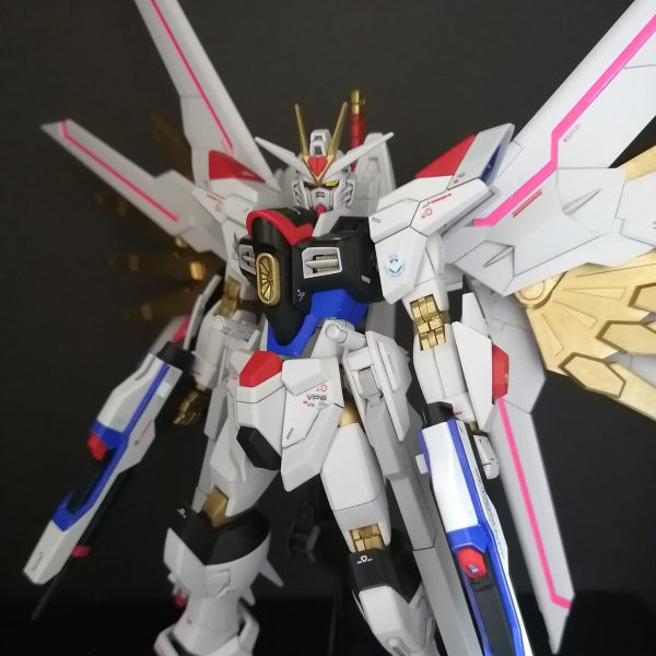 エアブラシ全塗装HGマイフリ