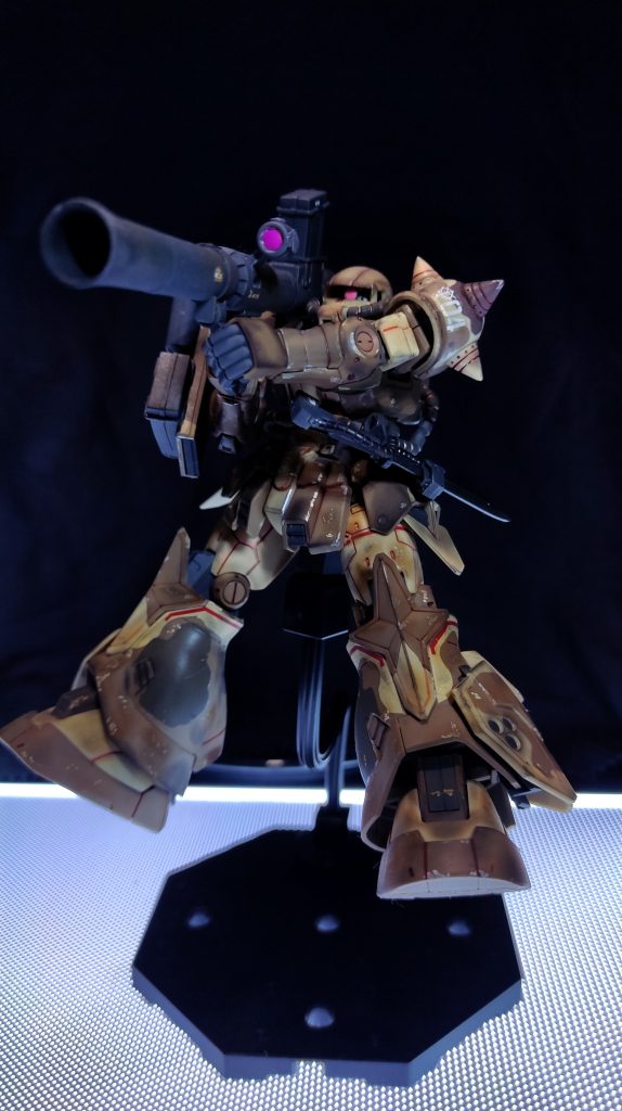 ポージングは息子にやってもらいました。