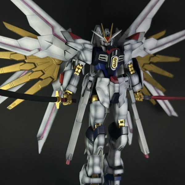 マイティーストライクフリーダムガンダム