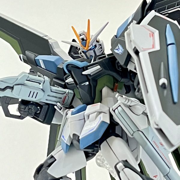 ライジングフリーダムリアルタイプカラー（オレ流）