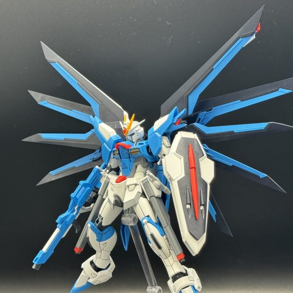 HGCE ライジングフリーダムガンダム