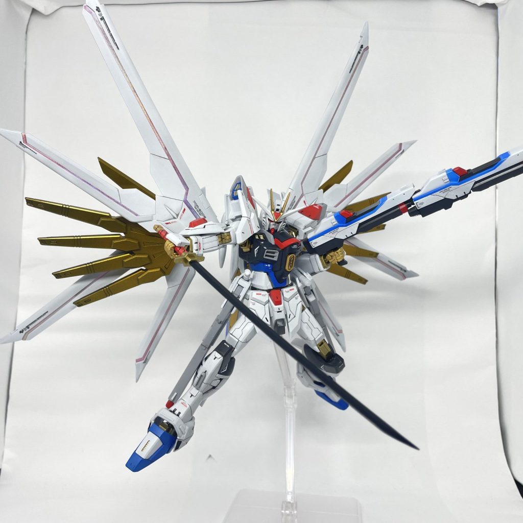 マイティーストライクフリーダムガンダム全塗装｜たけさんさんの