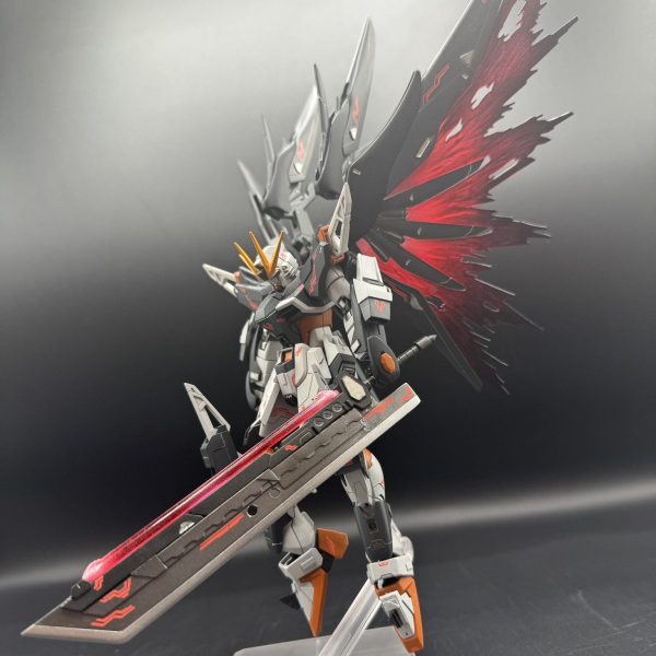 HG デスティニーガンダム　ルーシィ