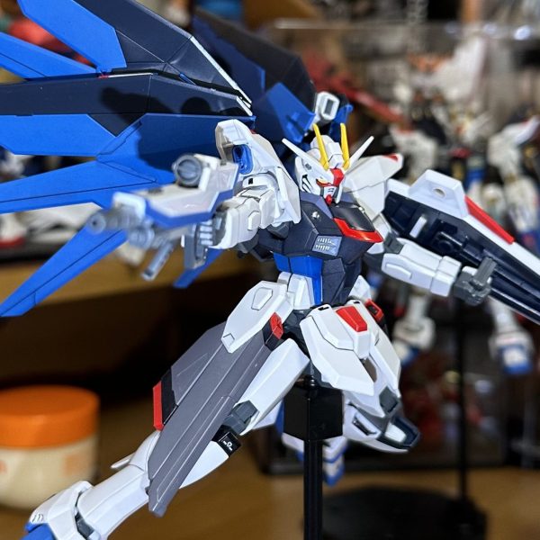 投稿 2作目 HGCEフリーダム！🗽