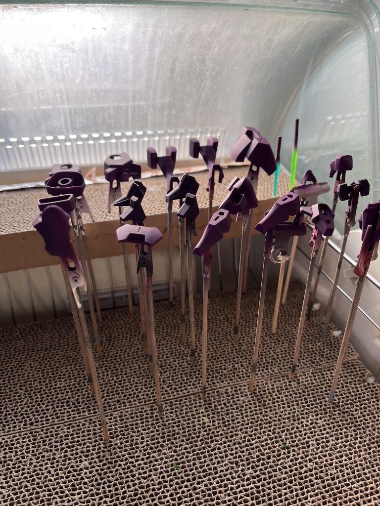 まずはガイアのパープルサフからスタート