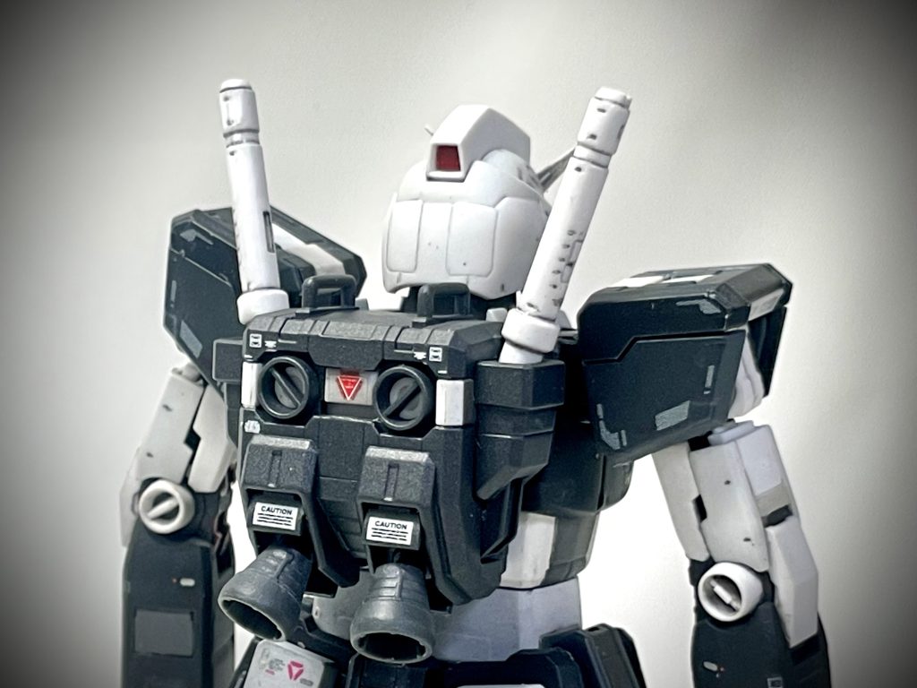 気に入っているバックショット。