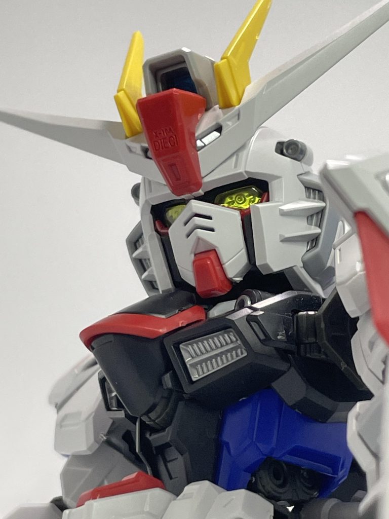 フリーダム素組み–3枚目/制作者：ずうみん