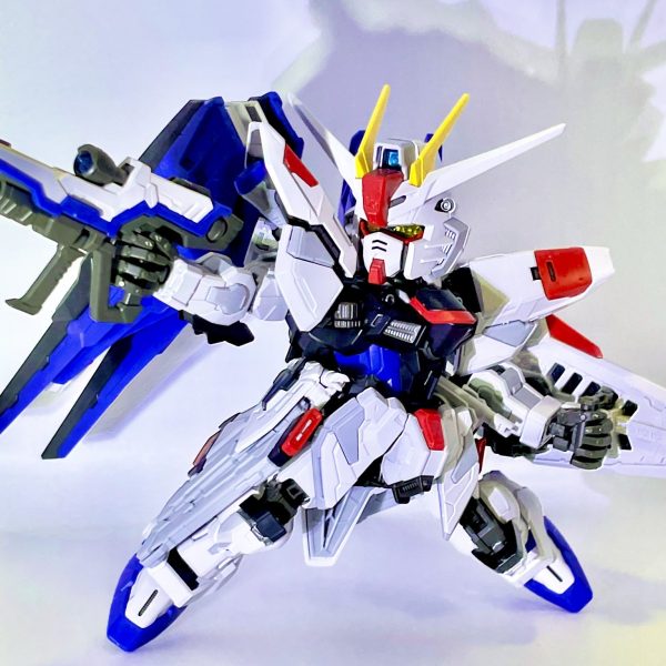 フリーダム素組み