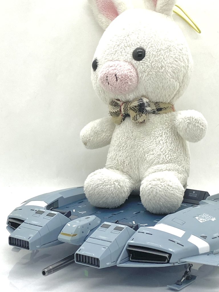 ブタウサギも乗せられる程でした(笑)。