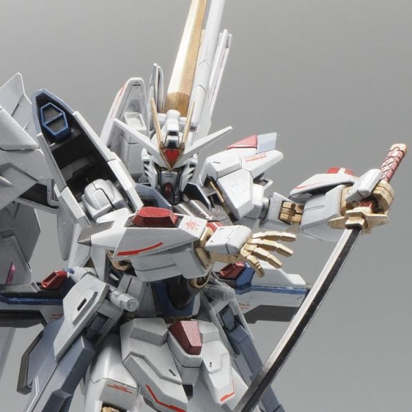 HG 1/144 デスティニーガンダム SpecⅡ[クリアカラー]｜amine