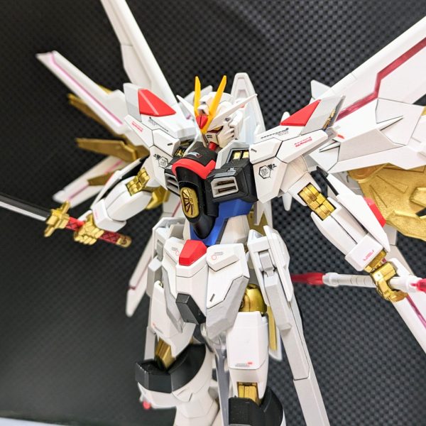 マイティーストライクフリーダムガンダム