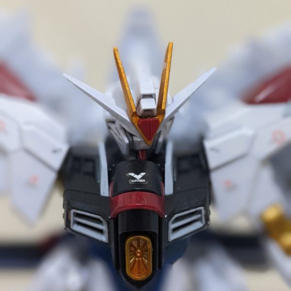 マイティーフリーダム