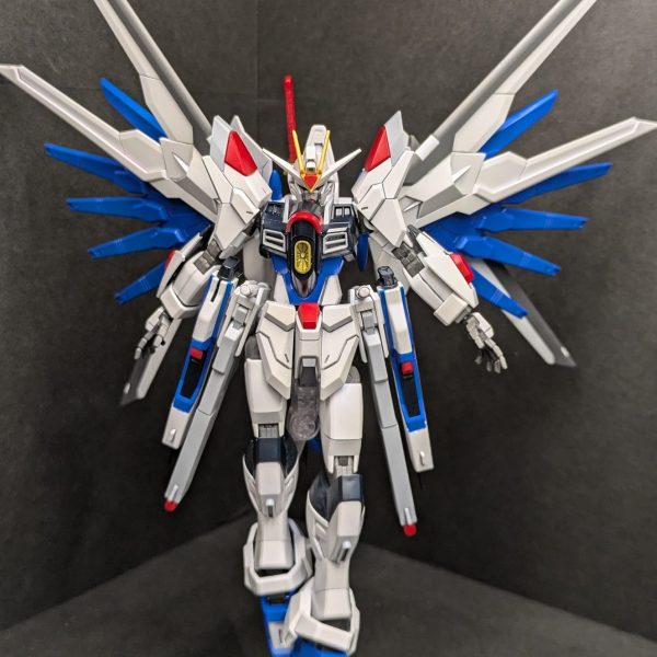 マイティストライクフリーダム2号機