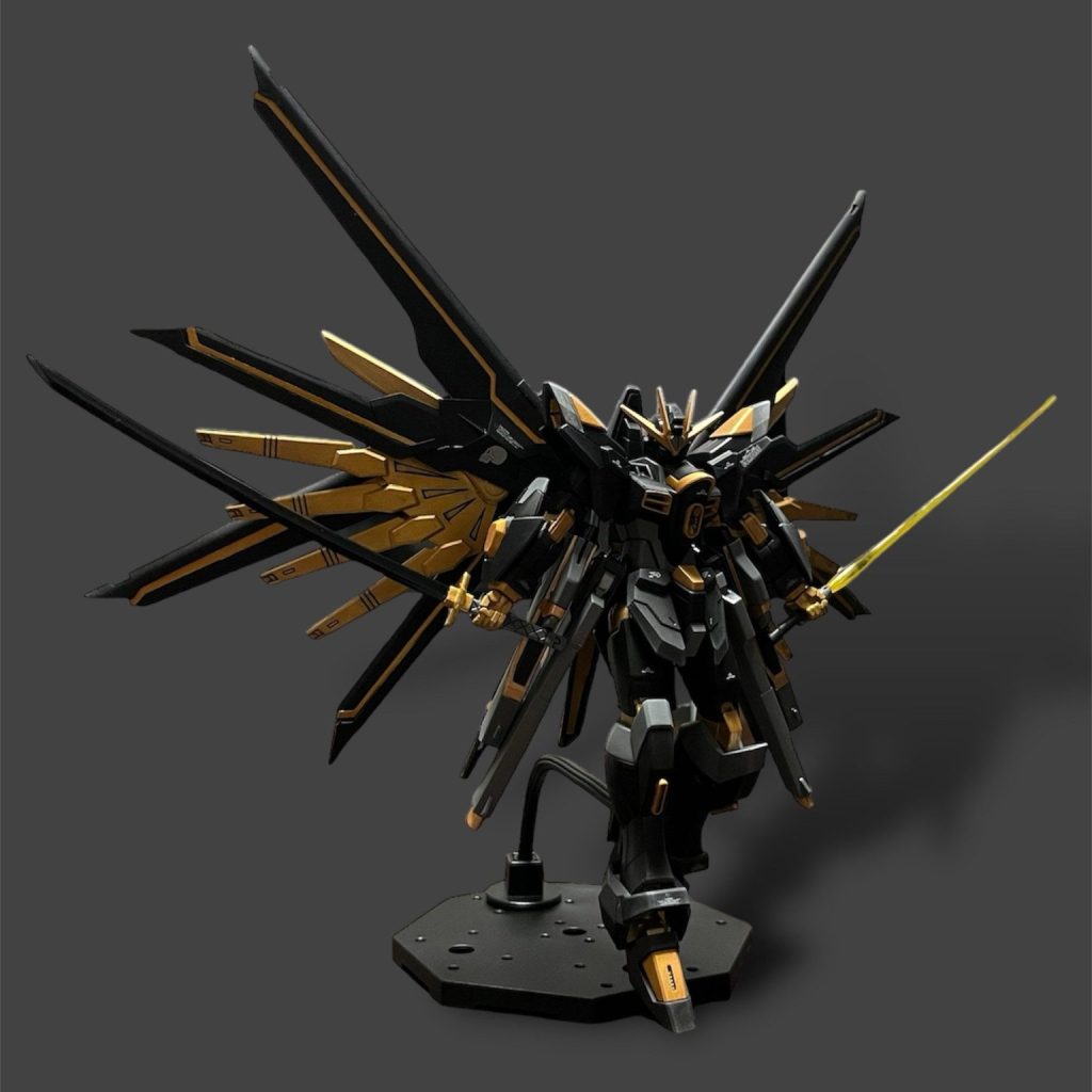 海外製　ストライクフリーダム　暗闇色　完成品 BANDAI 海外限定 MGEX 1/100 ストライク フリーダム ガンダム