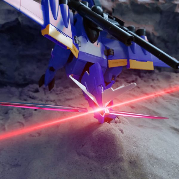 タマさん砂漠を駆ける