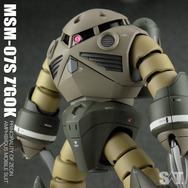 HG 1/144 ズゴック/Z’GOK