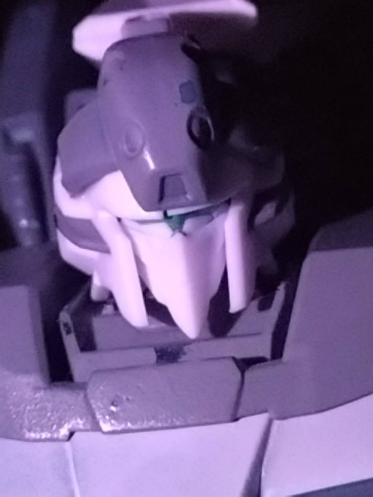 頭部何ですが、テルティウムにジェスタのパーツを接着しました。特殊部隊感があっていいですよね。ちなみに、なぜこの様になったのかというとシンプルにジェスタのゴーグルが吹っ飛んで見つかりませんでした。しかし、これもこれでかっこいいと思います！